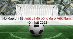 luật cá độ bóng đá ở Việt Nam 4