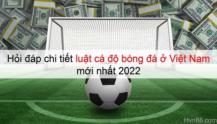 luật cá độ bóng đá ở Việt Nam 4