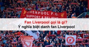 Fan Liverpool gọi là gì? Ý nghĩa biệt danh fan Liverpool 4